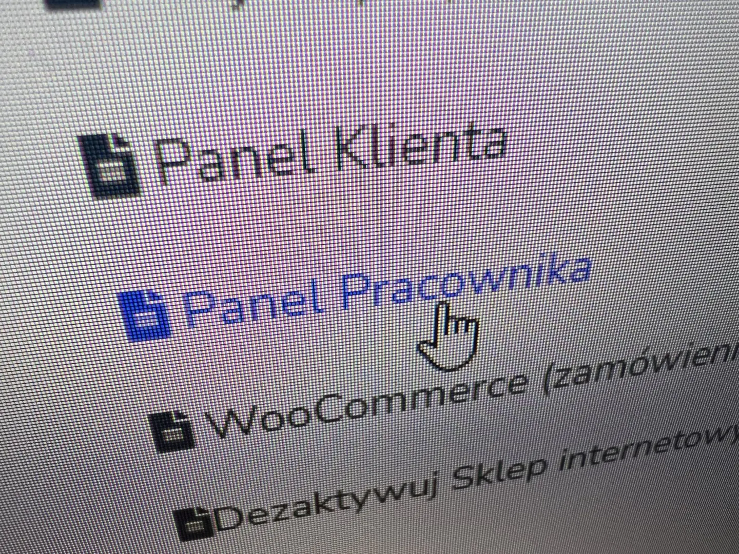 PANEL PRACOWNIKA DODATKOWE MODUŁY