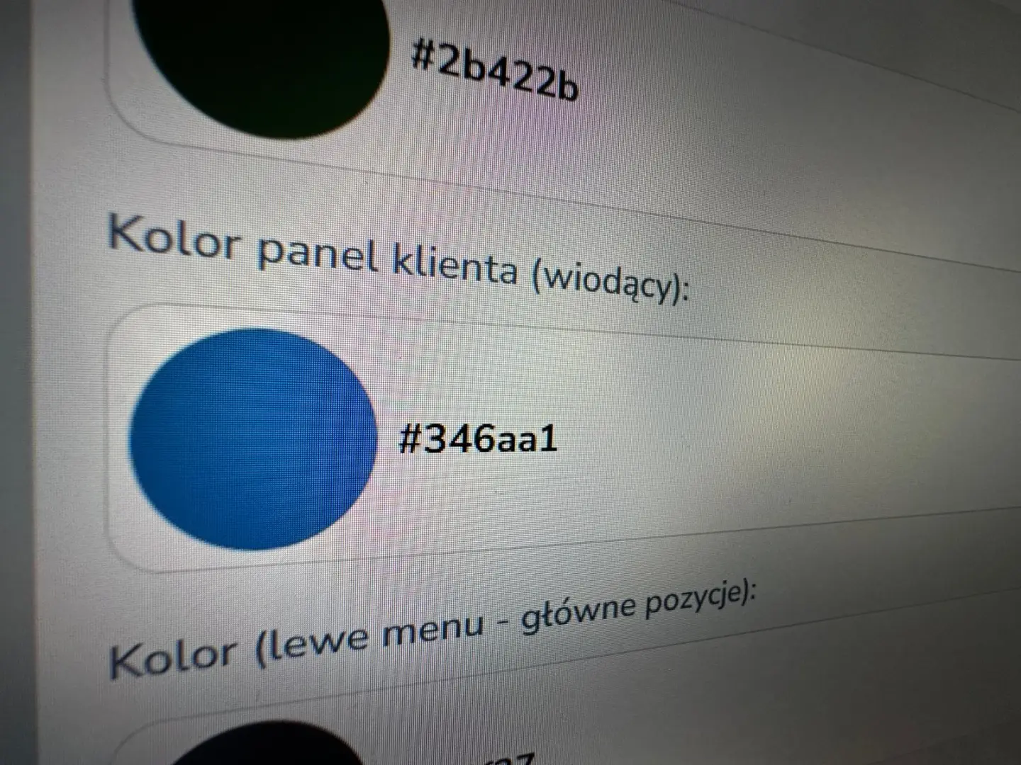 KOLOR WIODĄCY DLA PANELU KLIENTA