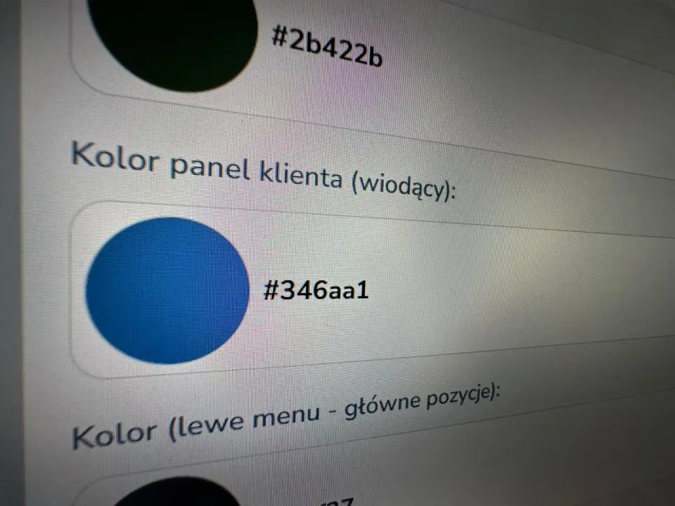 KOLOR WIODĄCY DLA PANELU KLIENTA